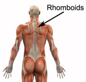 Rhomboids 300x286